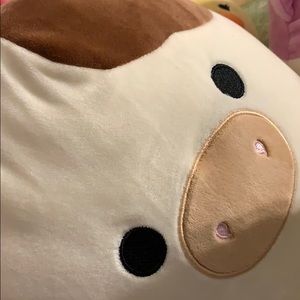 Meet your Posher, Alana